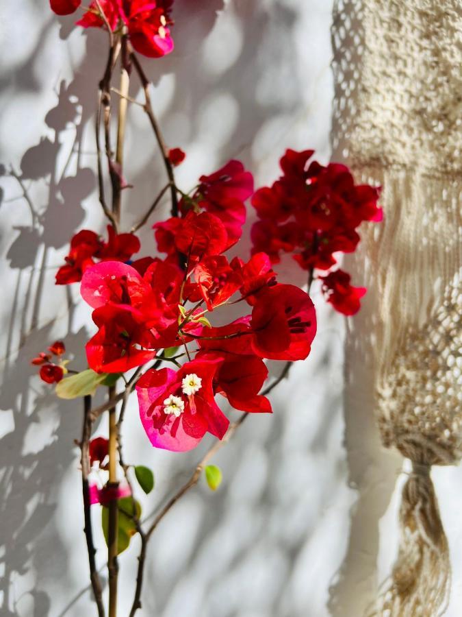 Apartment Pallada Boutique *
